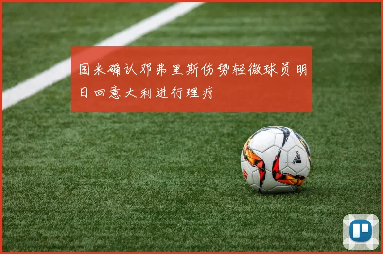 国米确认邓弗里斯伤势轻微球员明日回意大利进行理疗