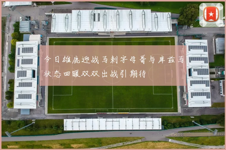 今日雄鹿迎战马刺字母哥与库兹马状态回暖双双出战引期待