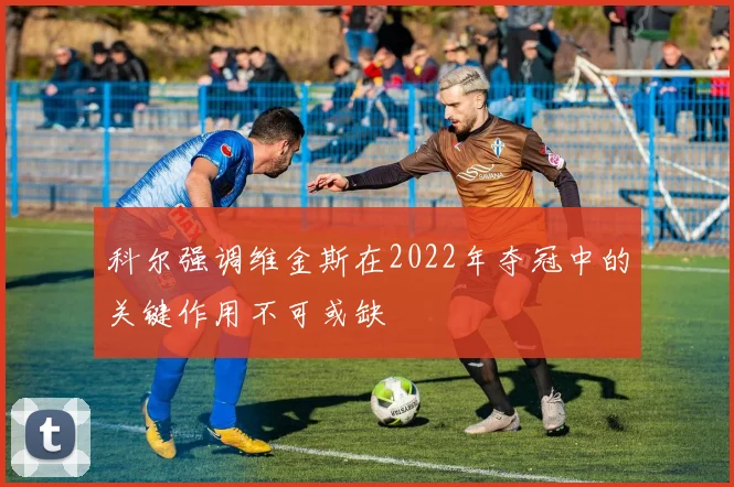 科尔强调维金斯在2022年夺冠中的关键作用不可或缺
