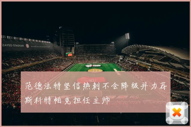 范德法特坚信热刺不会降级并力荐斯科特帕克担任主帅